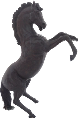 Rearing Stallion