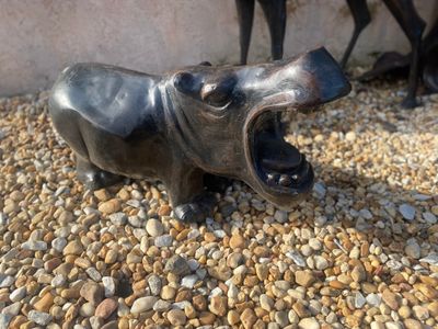 Hippo standing Hippo standing