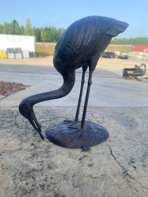 Large heron fishing