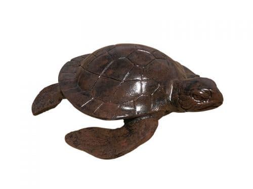 Large Sea turtle