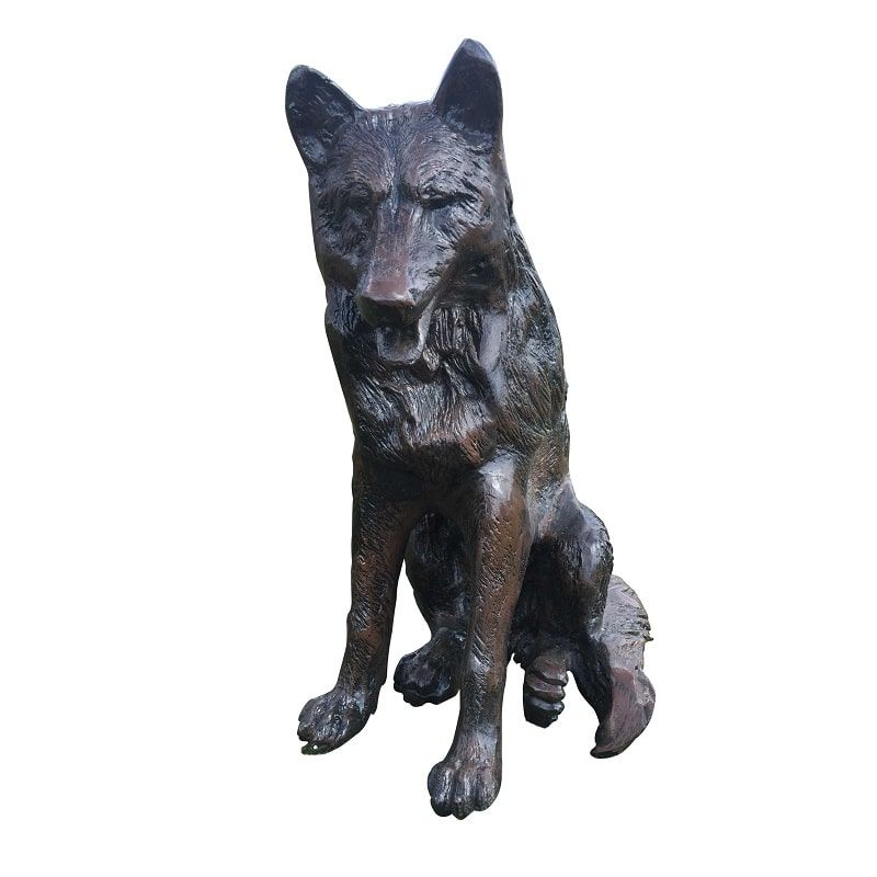 Sitting Fox