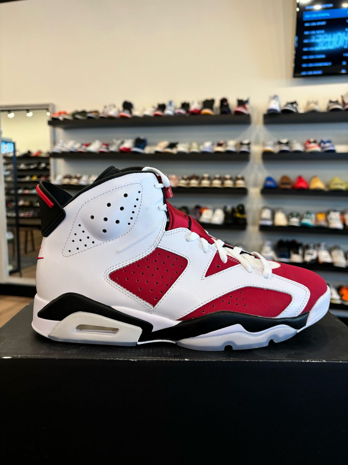 Jordan 6 Carmine Size 11 Brand New
