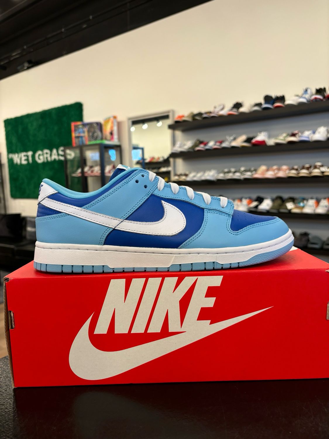 Nike Dunk Low Argon Size 10.5 Brand New