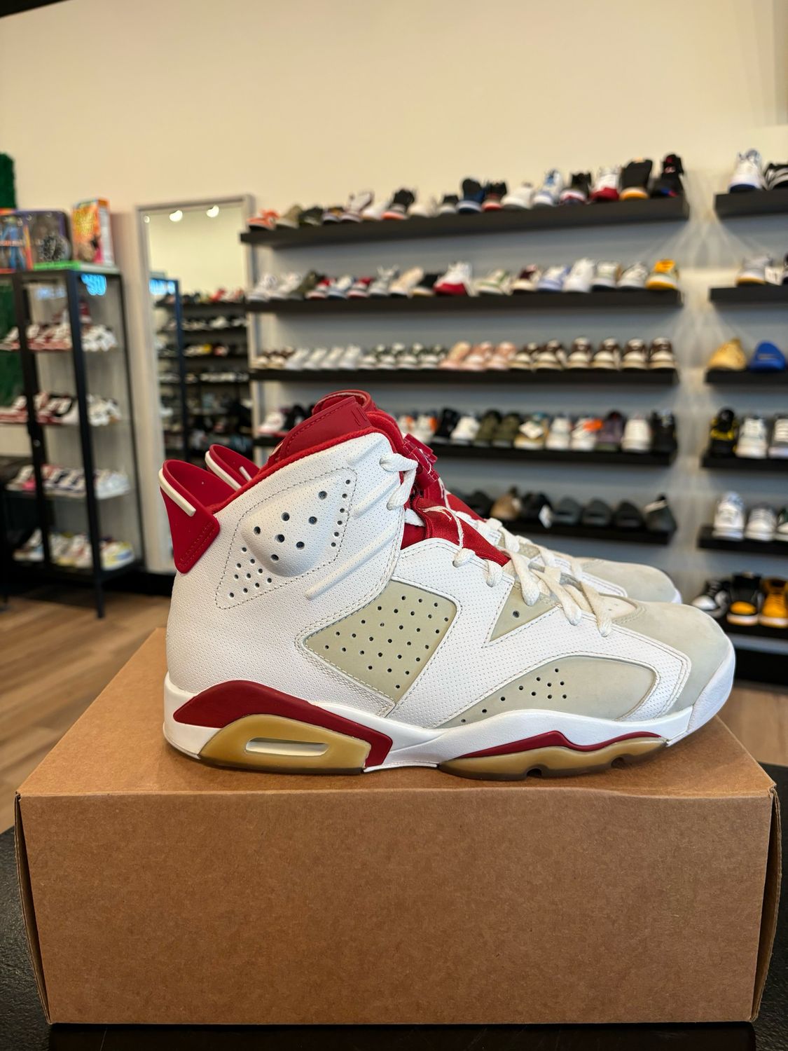 Jordan 6 Alternate Size 10 Pre-Owned (No Box)