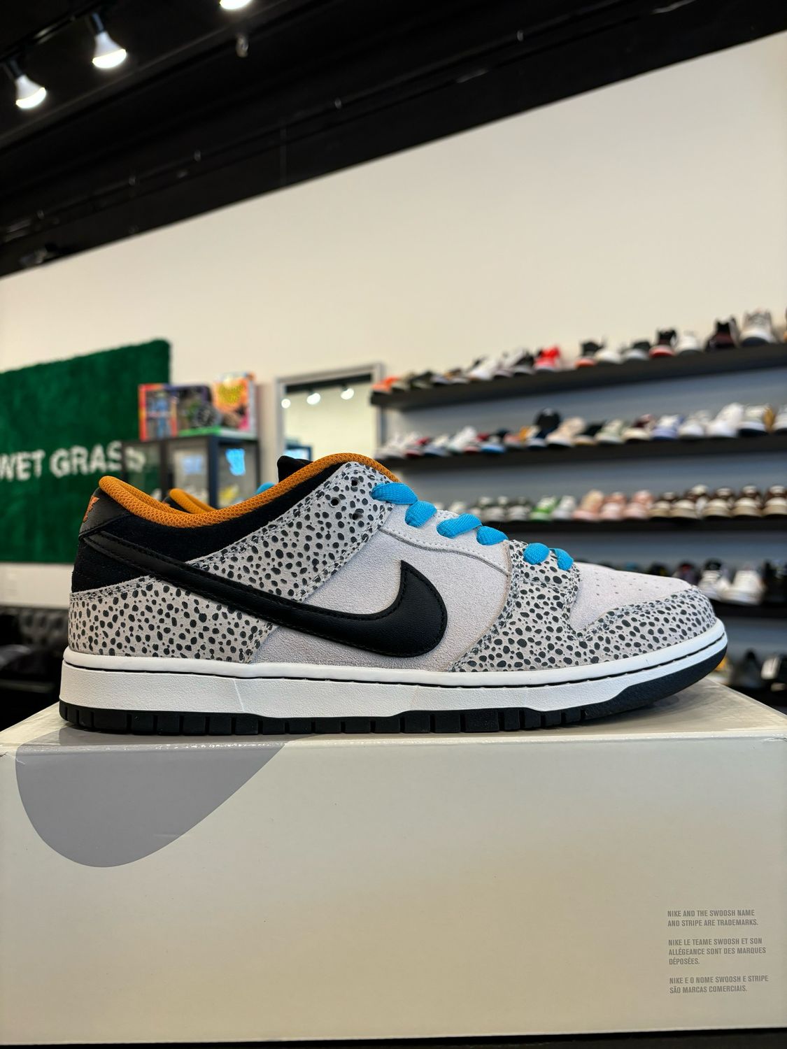 Nike SB Dunk Low Safari Size 11.5 Brand New