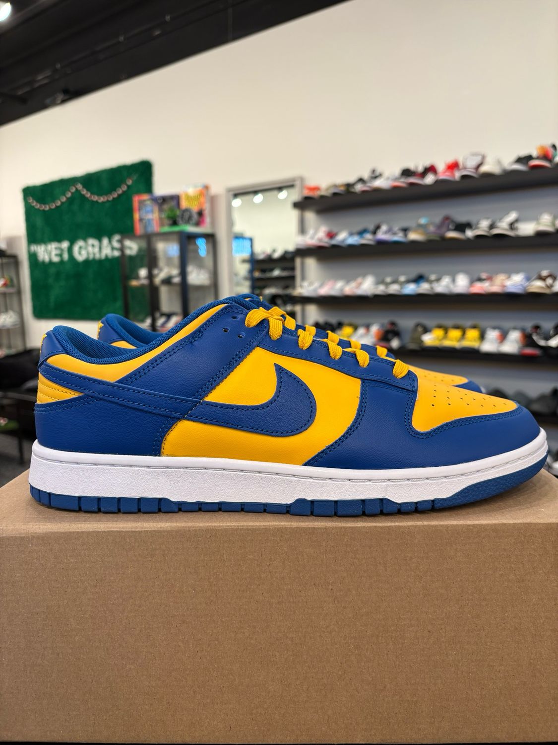 Nike Dunk Low UCLA Size 12 Brand New (No Box)