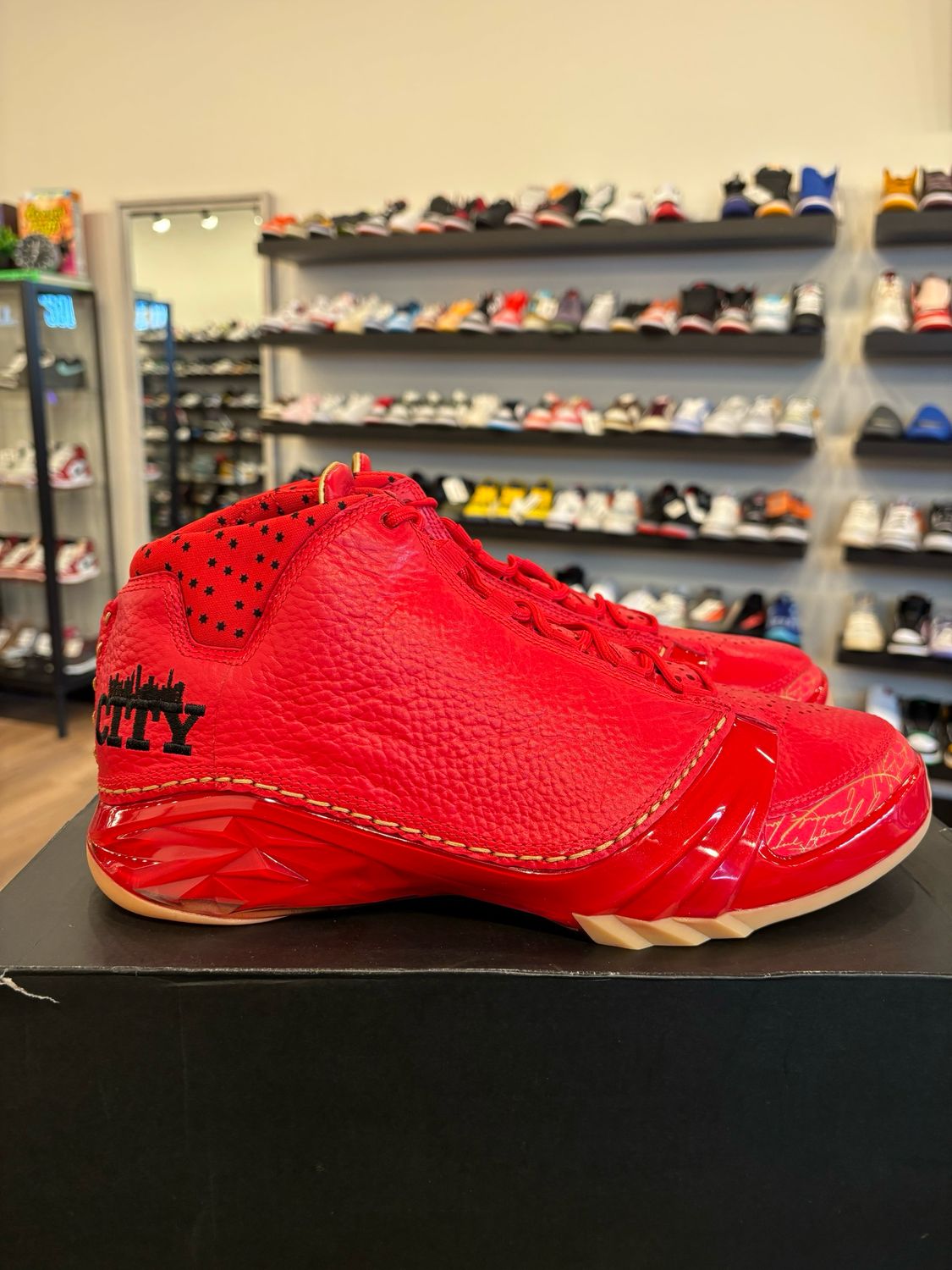 Jordan 23 Chicago Size 10.5 Brand New