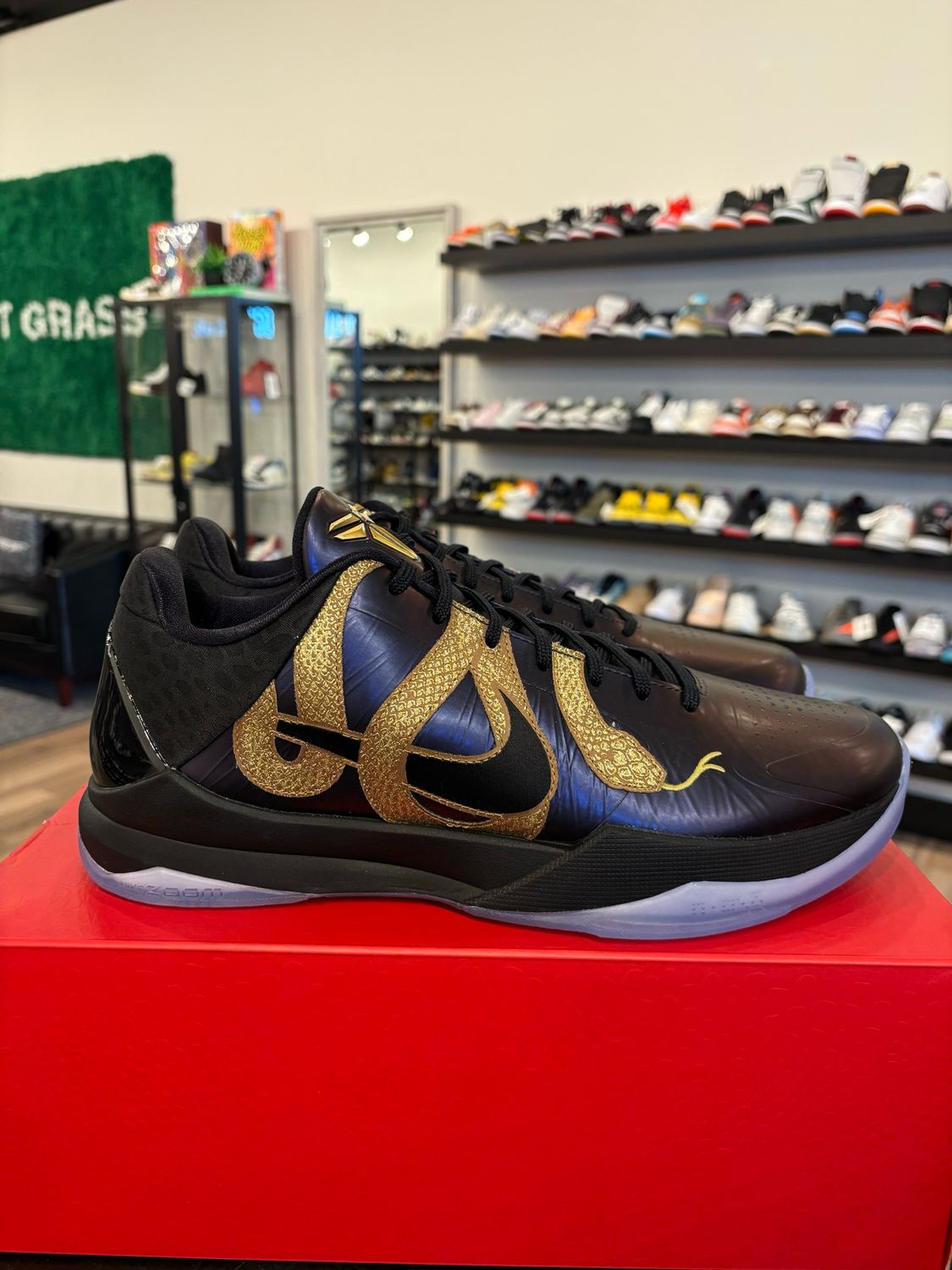 Nike Kobe 5 Eggplant Mamba Size 12 Brand New