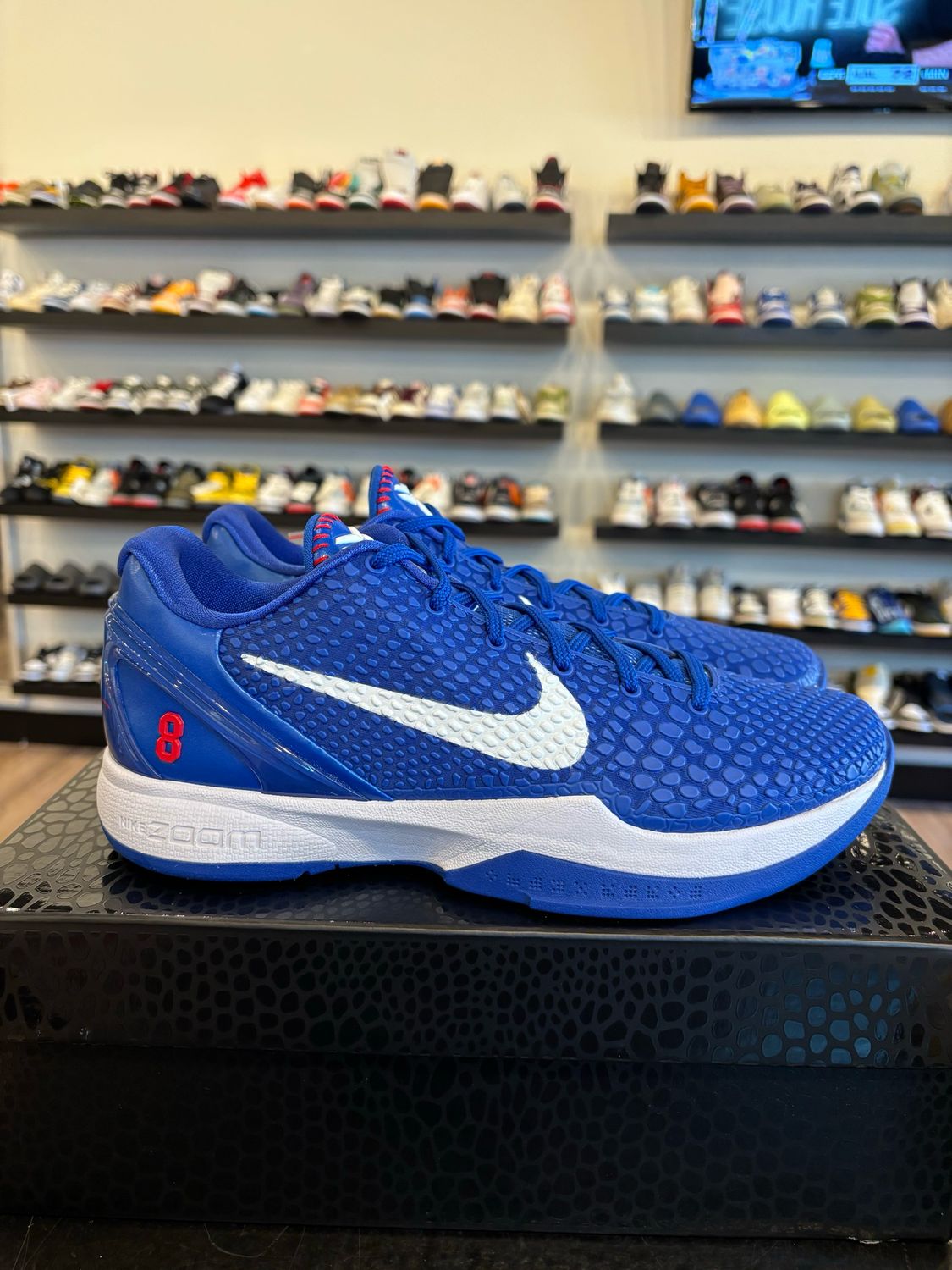 Nike Kobe 6 Protro Dodger Size 9.5 Brand New