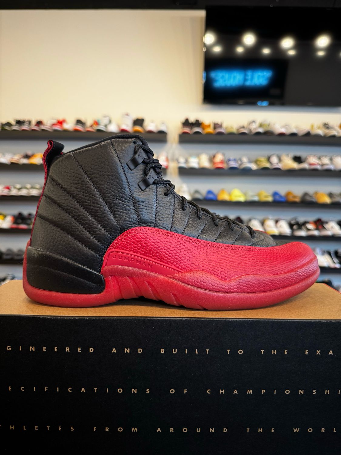 Jordan 12 Flu Game 2025 Size 10 Brand New