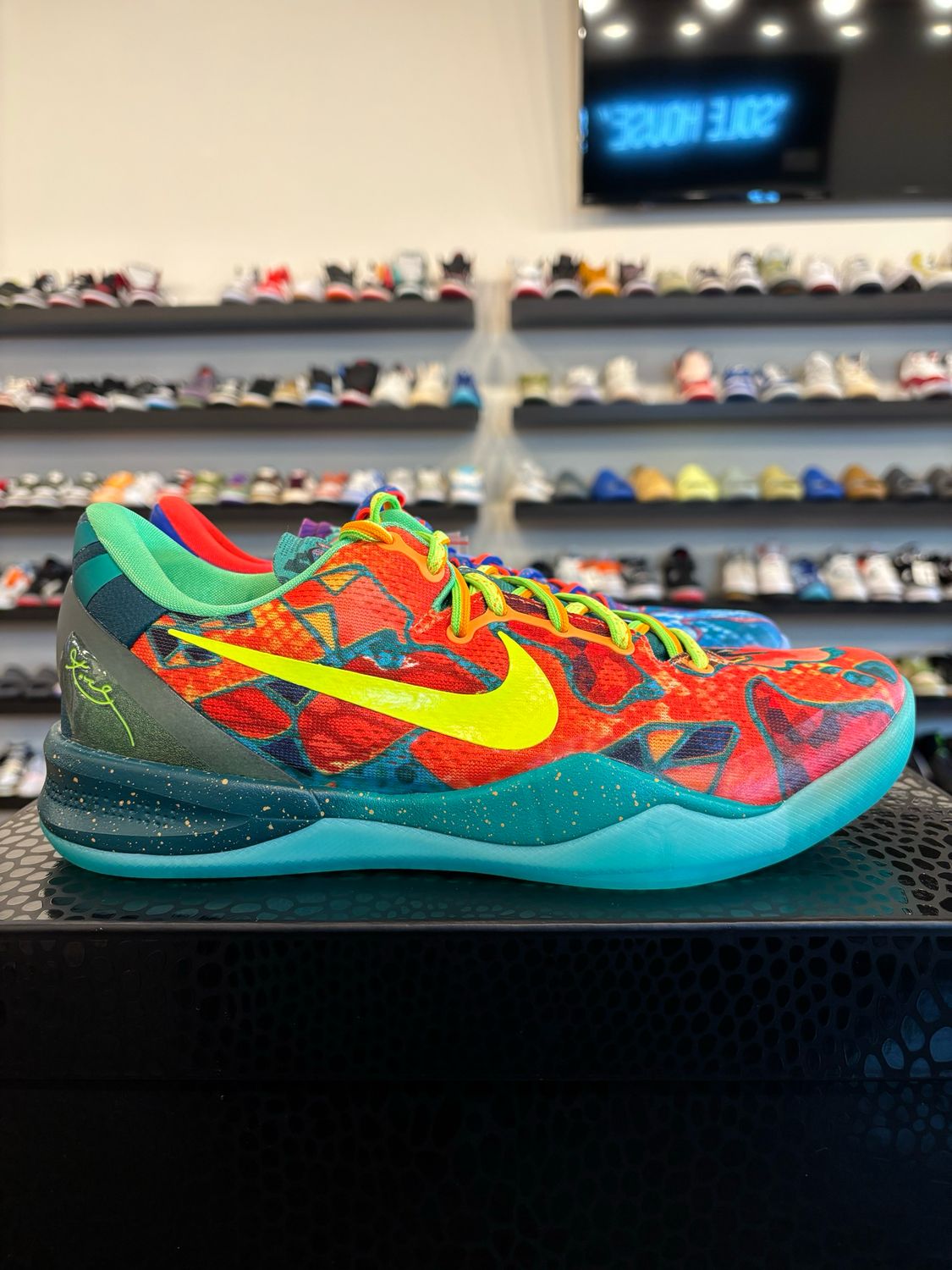 Nike Kobe 8 Protro What The (2025) Size 9.5 Brand New