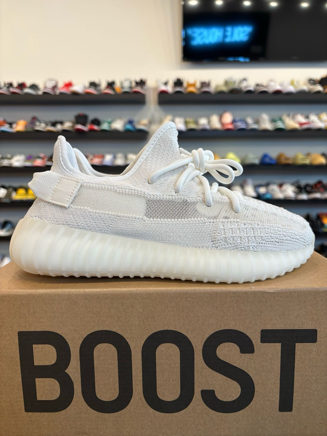 Yeezy 350 V2 Bone Size 5 (6.5W) Brand New