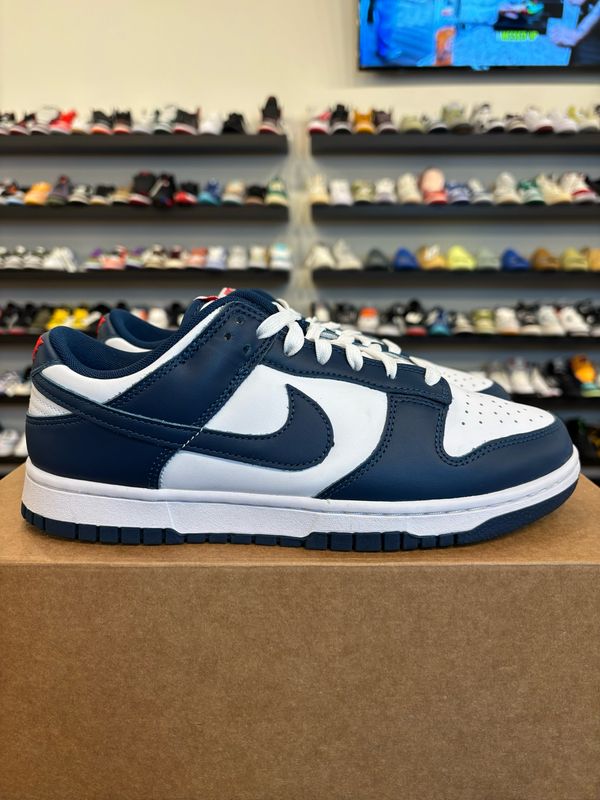Nike Dunk Low Valerian Size 8.5 Pre-Owned (No Box)