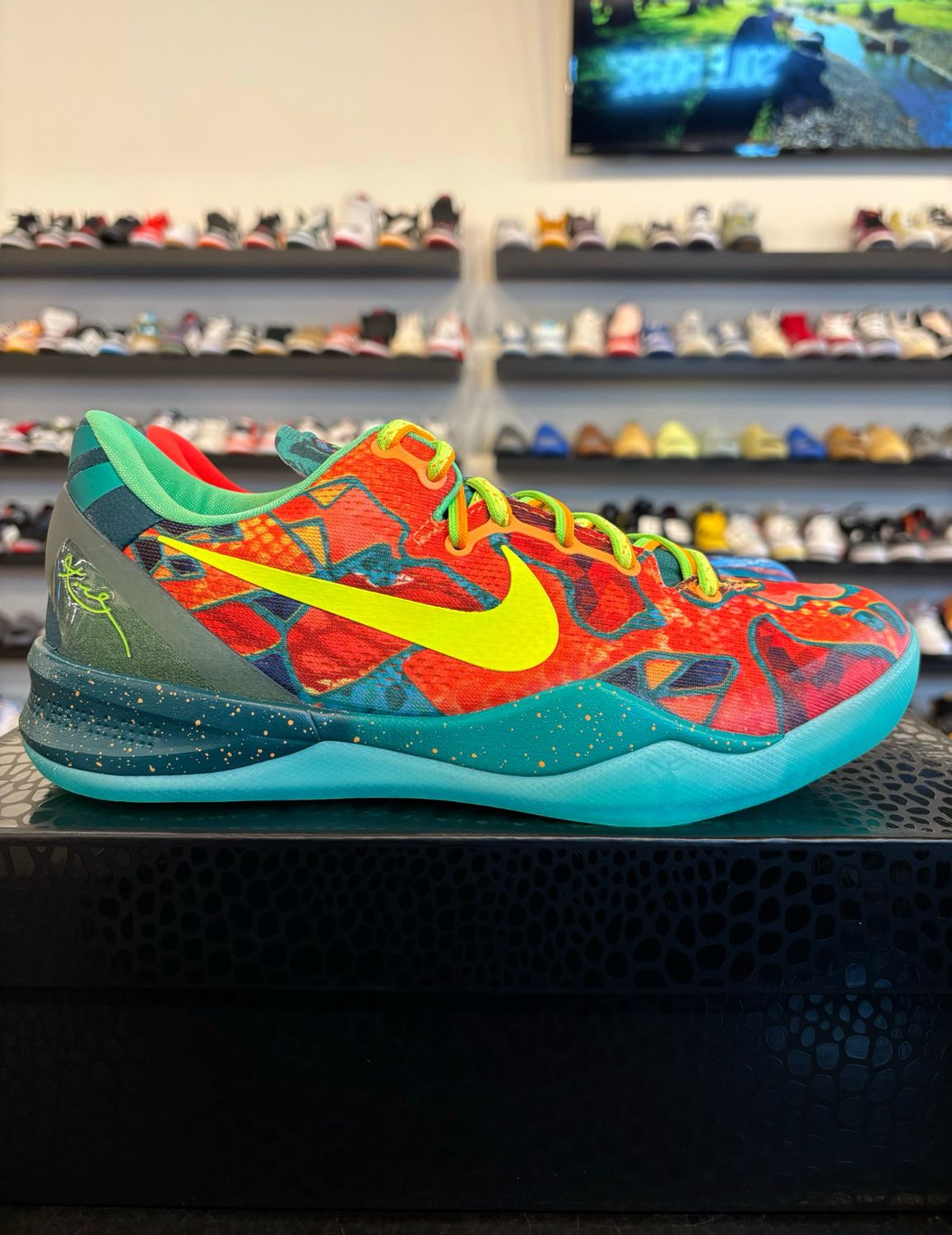 Nike Kobe 8 Protro What The (2025) Size 7.5 Brand New