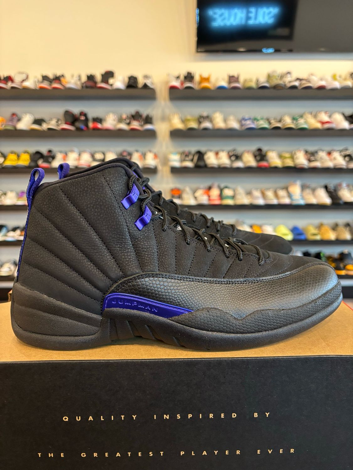 Jordan 12 Dark Concord Size 10.5 Brand New