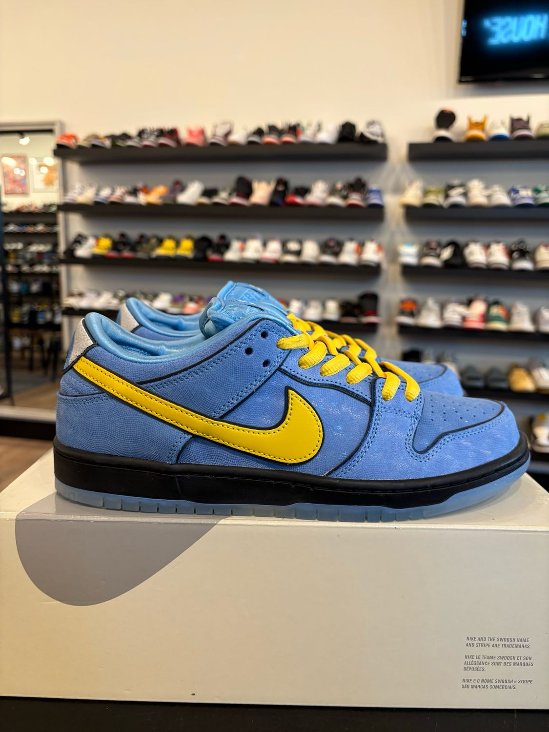 Nike SB Dunk Low Bubbles Size 9 Brand New