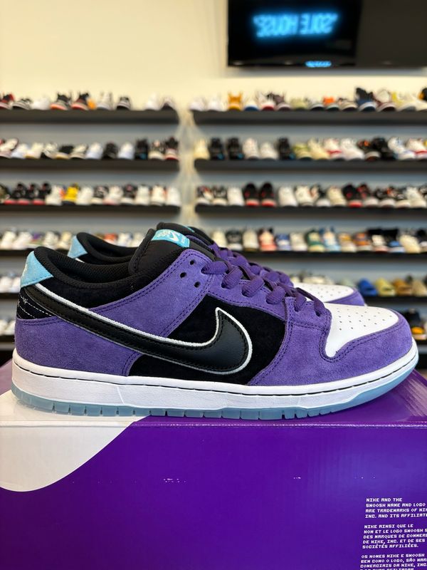 Nike SB Dunk Low Hayley Wilson Size 10.5 Brand New