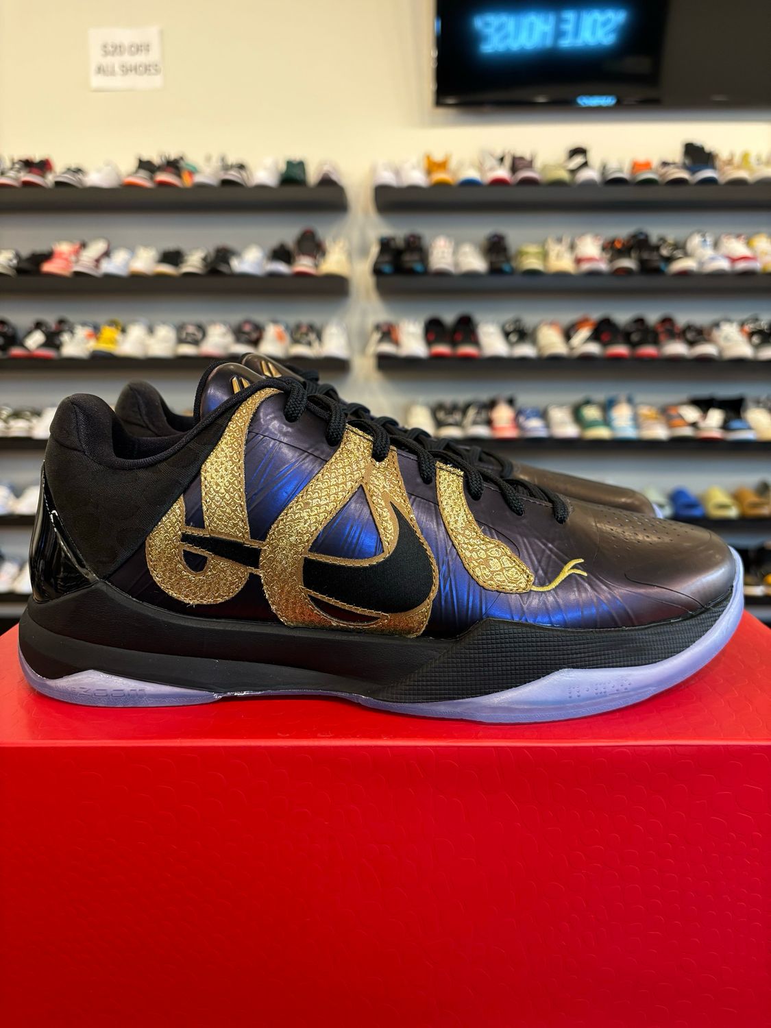 Nike Kobe 5 Protro Eggplant Mamba Size 10 Brand New