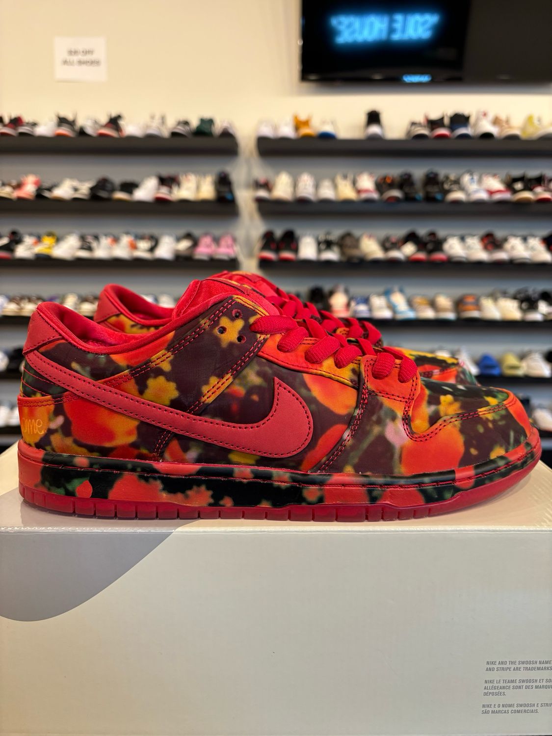 Nike SB Dunk Low Wizard Of Oz Size 10.5 Brand New