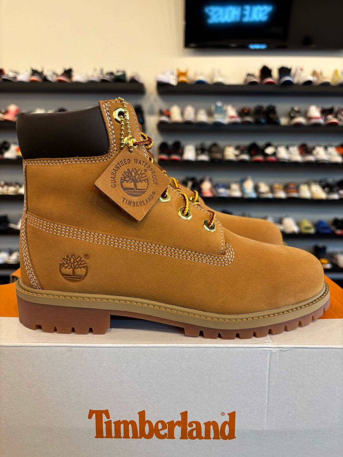 Timberland Premium 6 Inch Boot Wheat Size 6Y (7.5W) Brand New