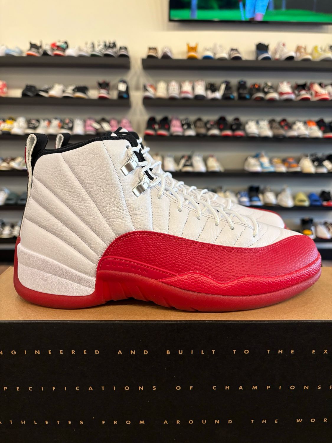 Jordan 12 Cherry 2023 Size 10.5 Brand New
