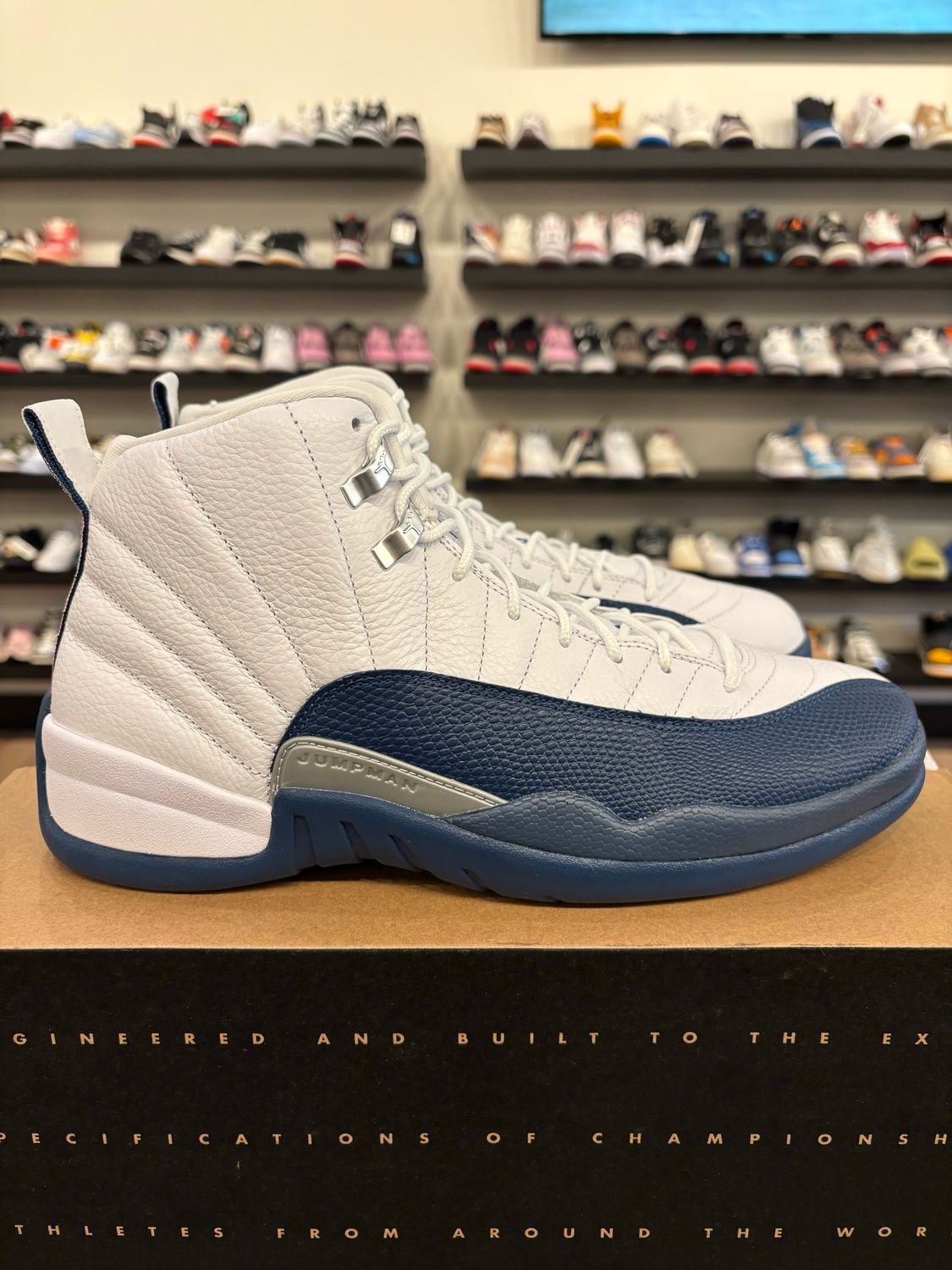 Jordan 12 French Blue 2025 Size 10.5 Brand New