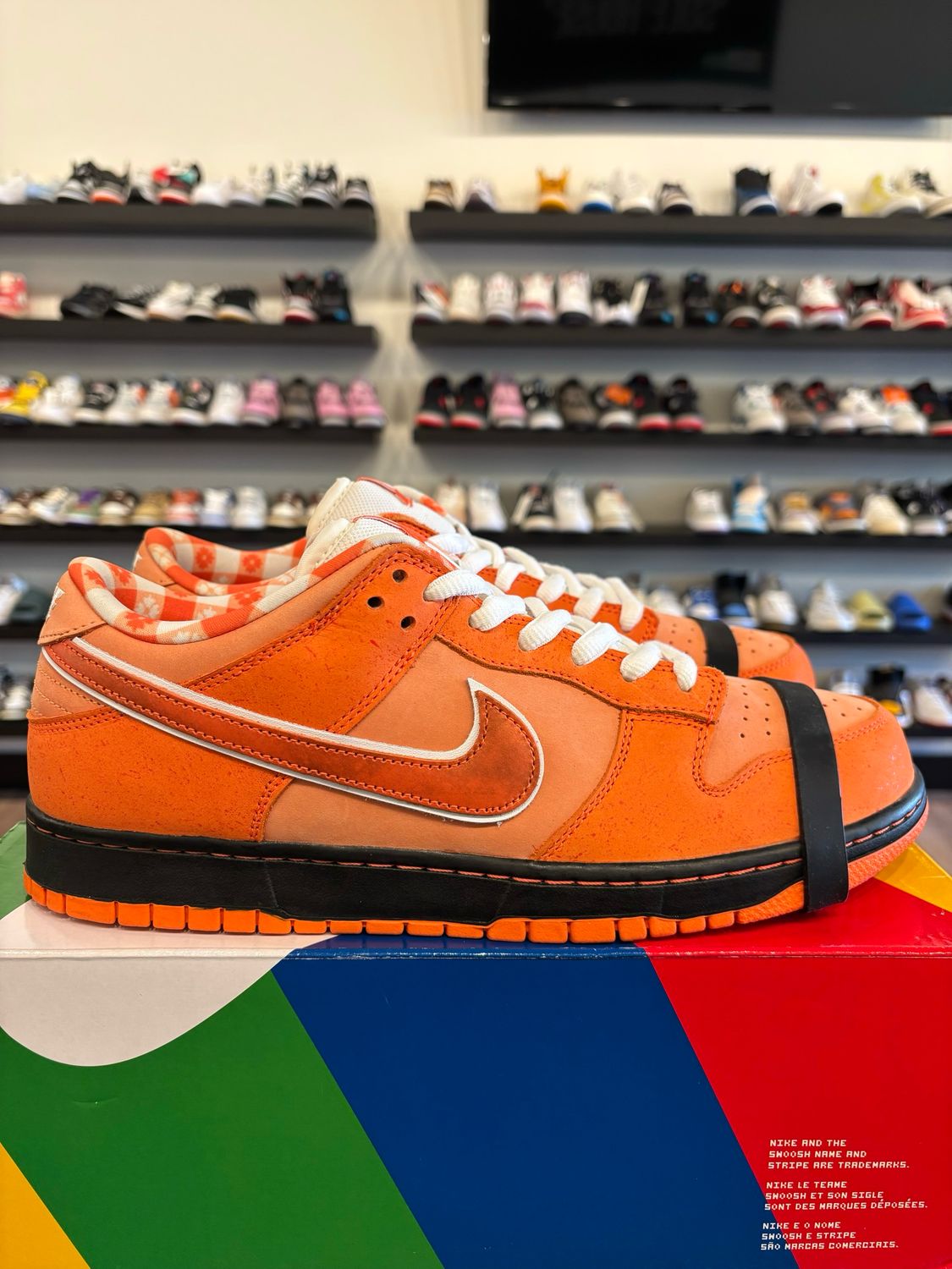 Nike SB Dunk Low Orange Lobster Size 12 Brand New