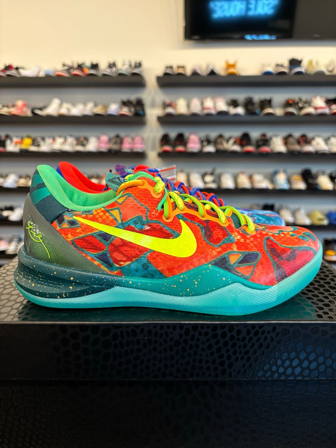 Nike Kobe 8 Protro What The 2025 Size 5 (6.5W) Brand New