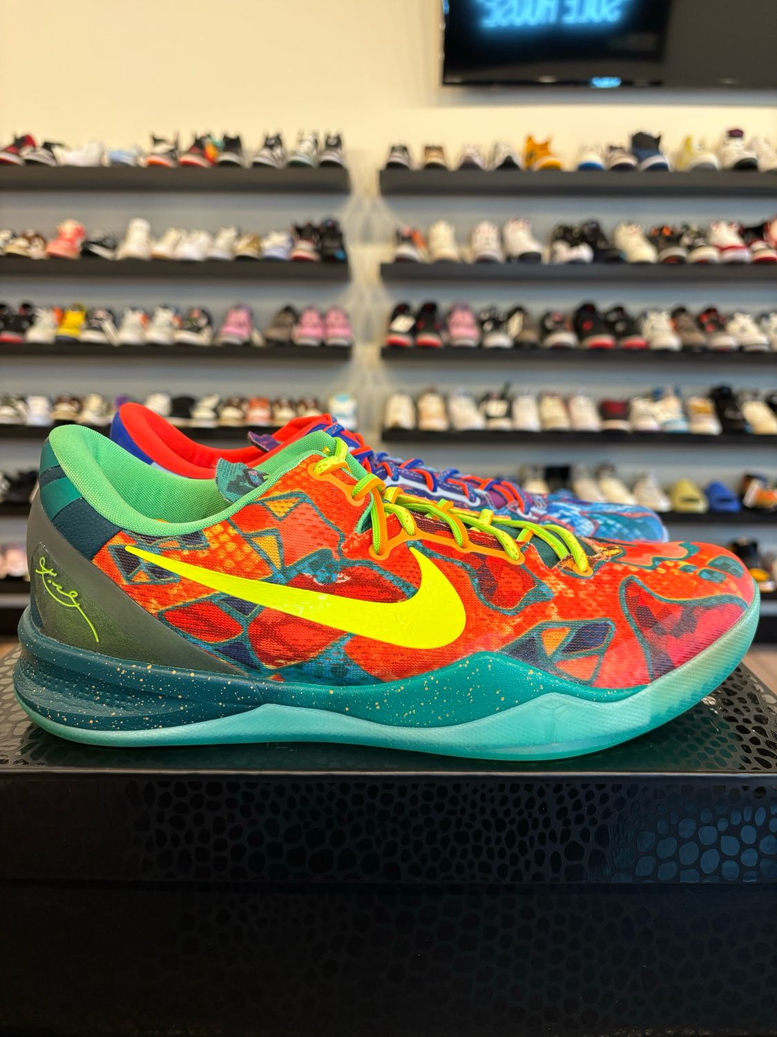 Nike Kobe 8 Protro What The Size 12.5 Pre-Owned