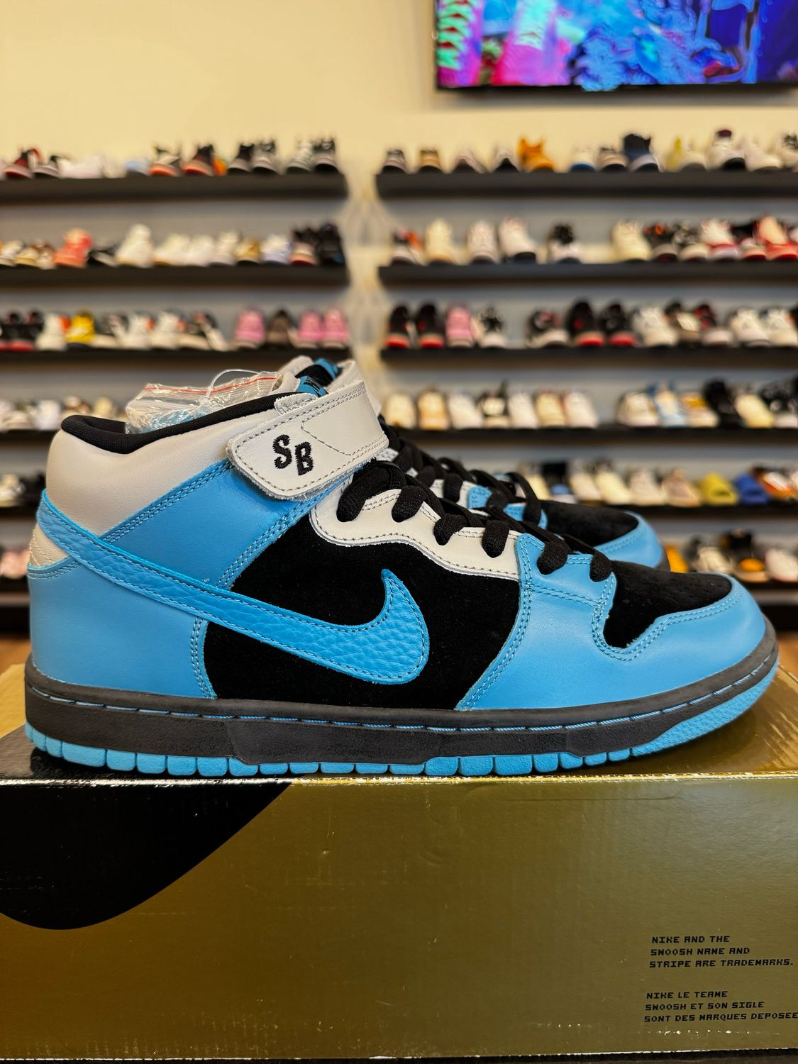 Nike SB Mid Aqua Fuel Size 10.5 Brand New
