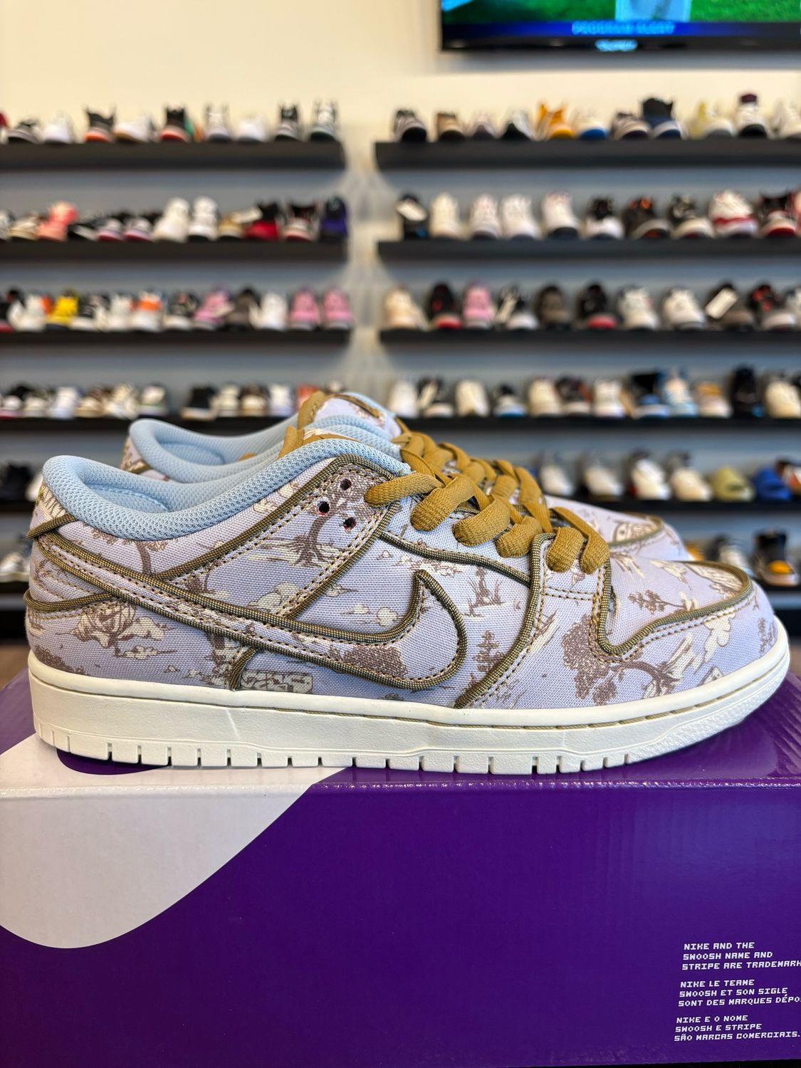 Nike SB Dunk Low City Of Style Size 8 Brand New