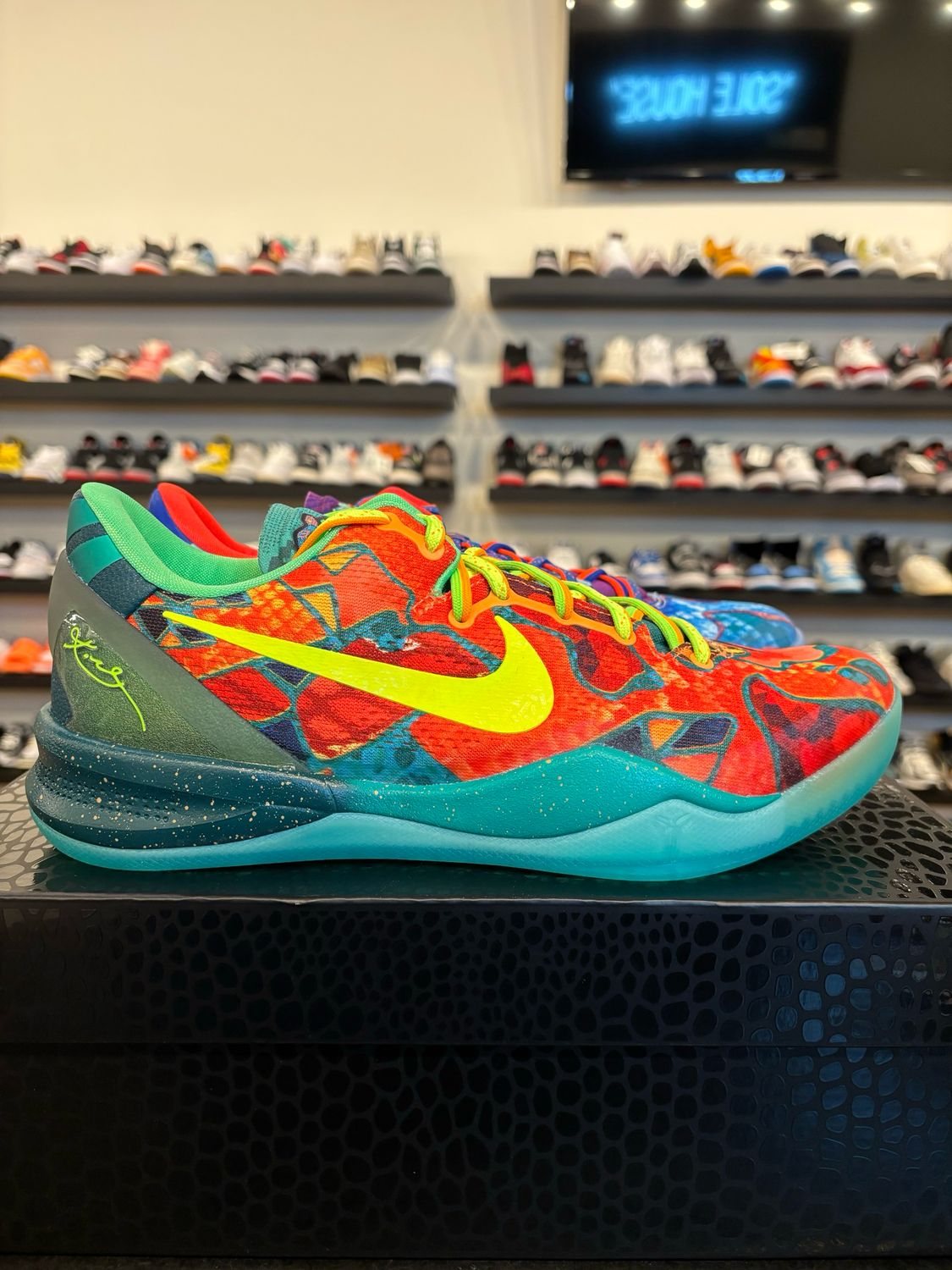 Nike Kobe 8 Protro What The 2025 Size 10 Brand New