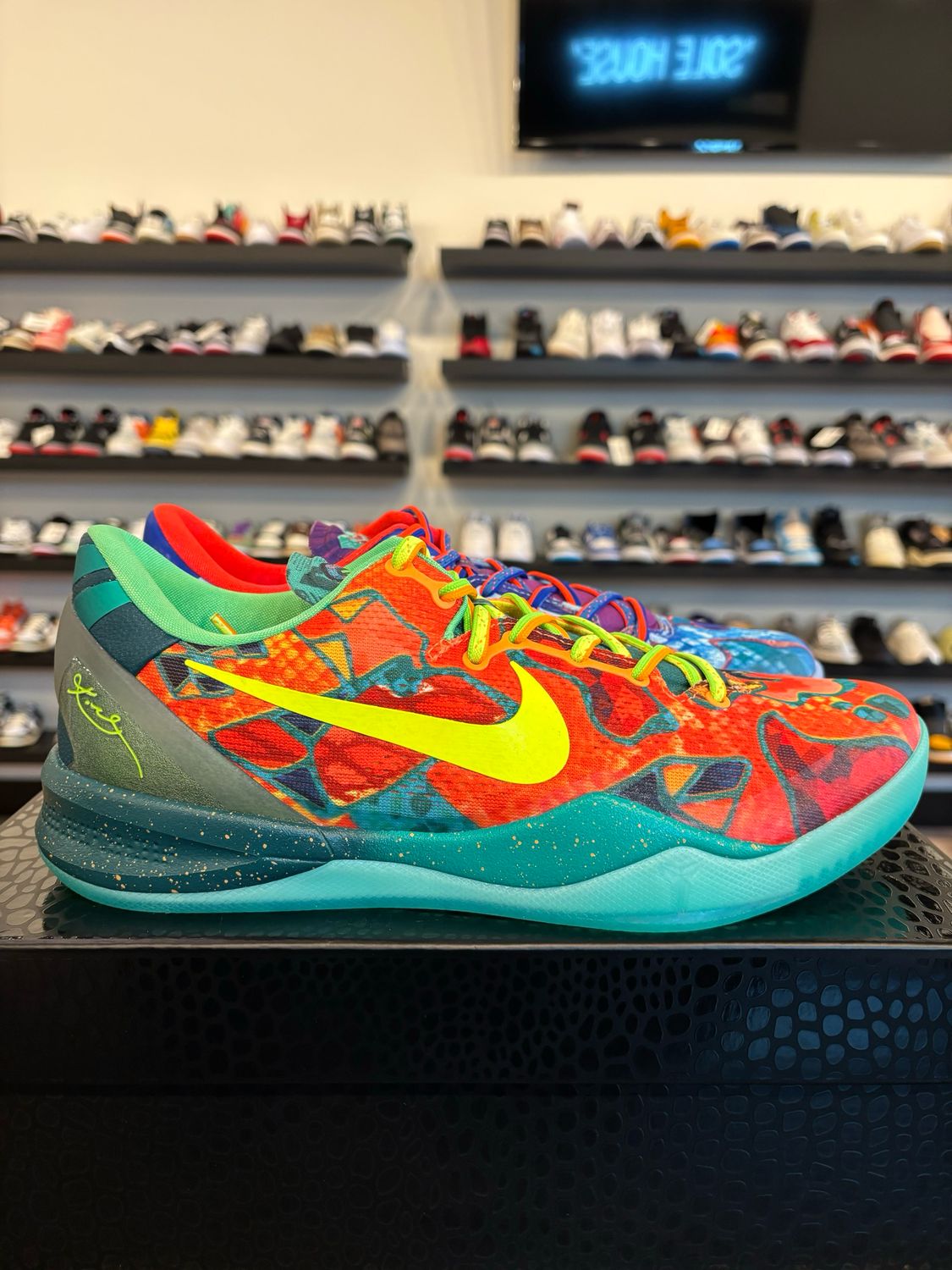 Nike Kobe 8 Protro What The 2025 Size 14 Brand New