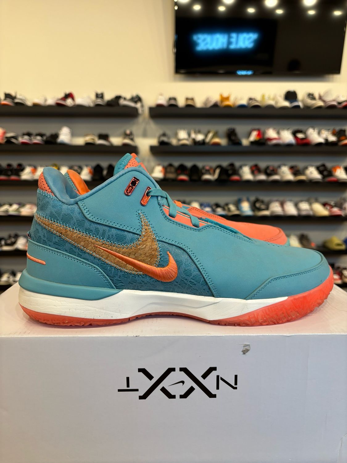 Nike LeBron Next Generation Miami Size 10.5 Pre-Owned