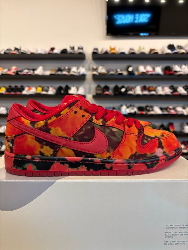 Nike SB Dunk Low Wizard Of Oz Size 9 Brand New