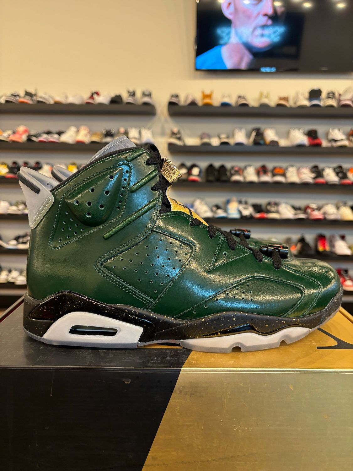 Jordan 6 Champagne Size 10 Brand New