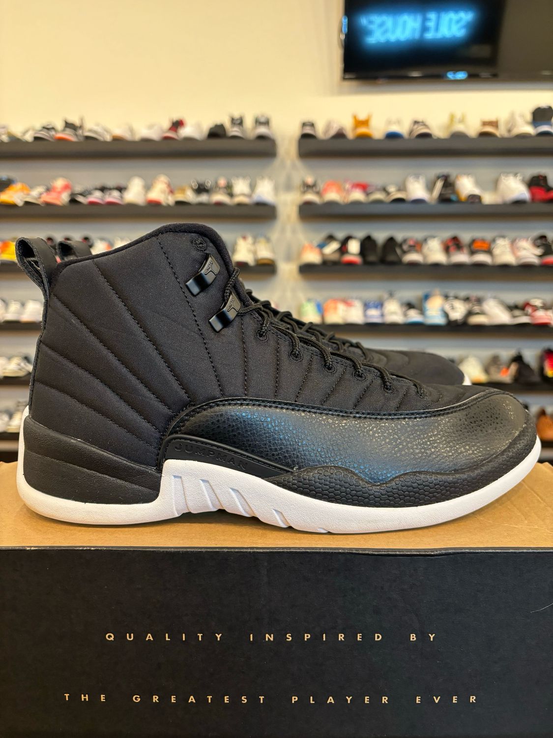 Jordan 12 Nylon Size 10 Pre-Owned