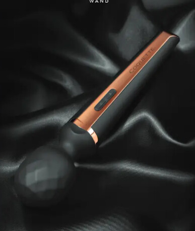 The Princess Wand