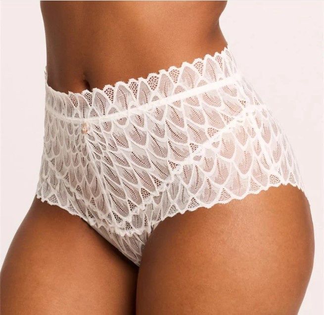 9309 Lacy High Waist Brief