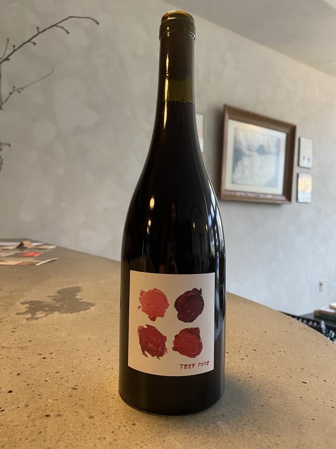 15 Minute Bottles Test Pots Pinot Noir 2022