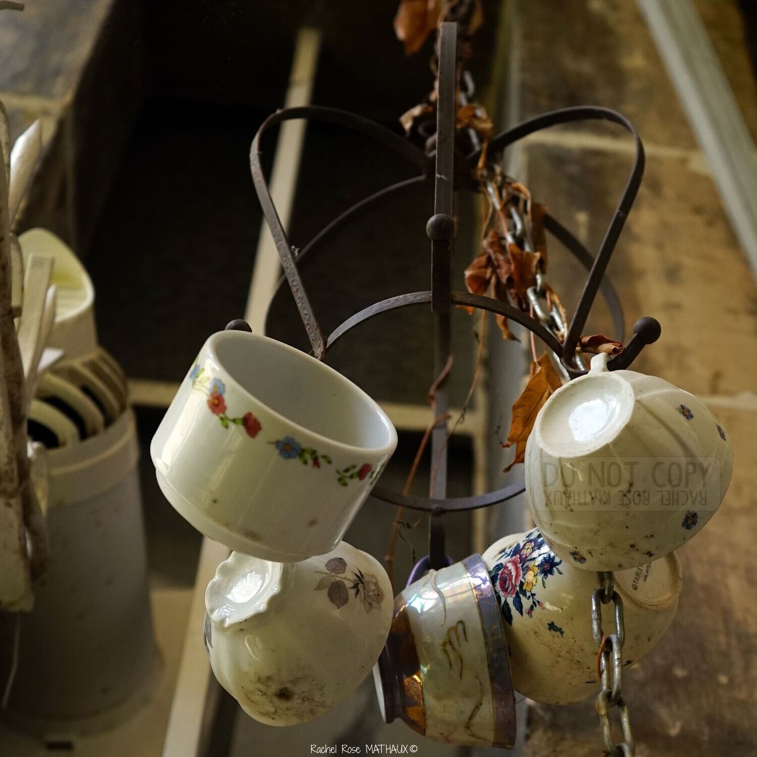 Les tasses