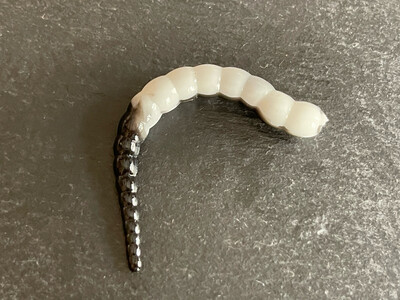 Cobra 6,5cm (Weiß Schwarz)