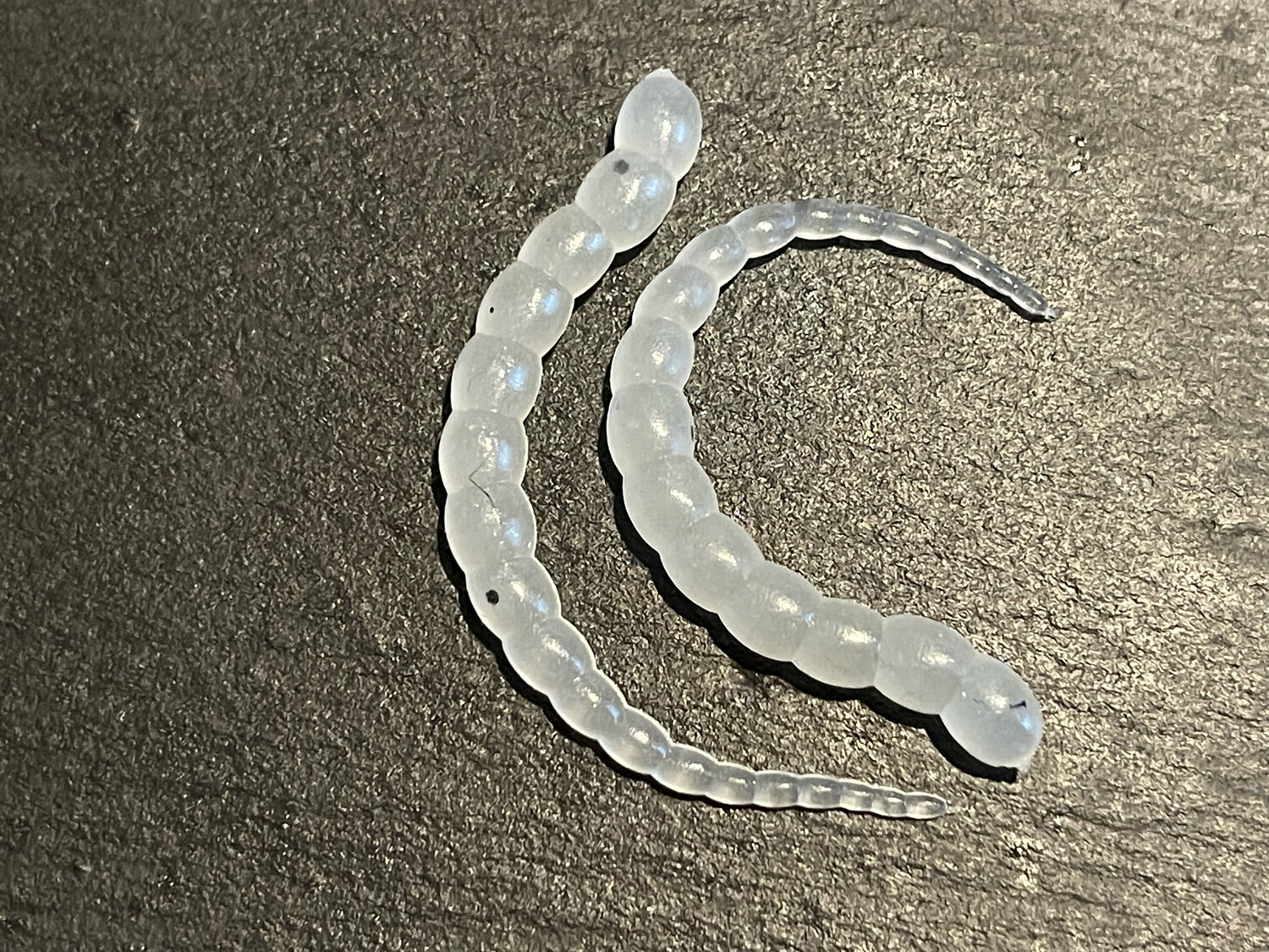 Cobra 7,5cm (Ghost)