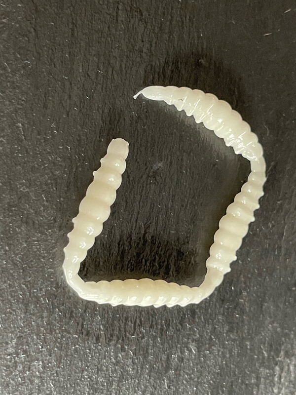 Made 3cm (Creme)