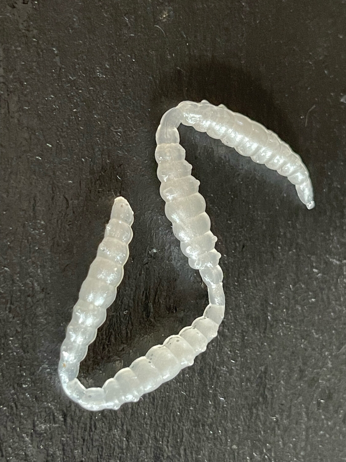 Made 3cm (Perl Silber)