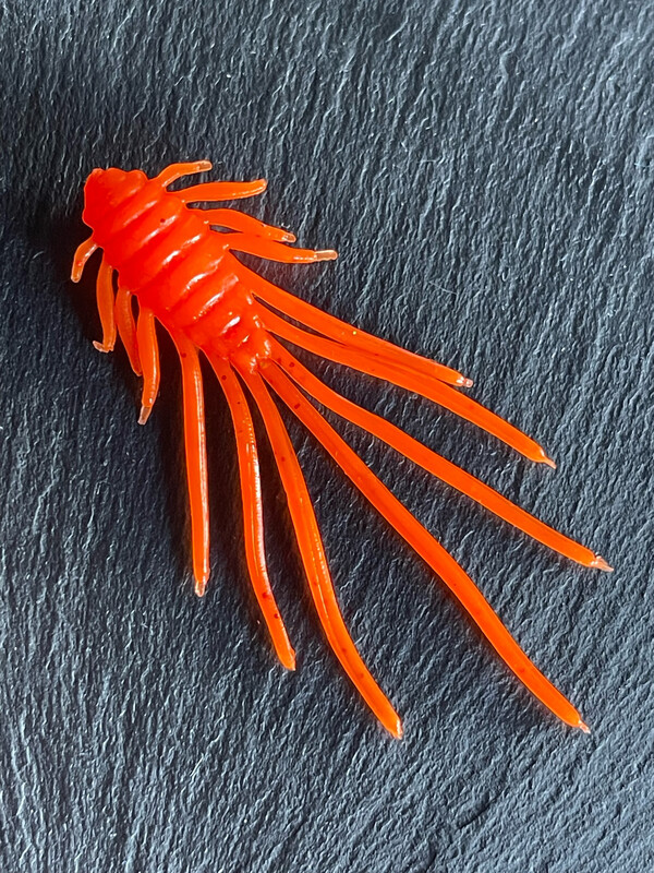 Fransen Fritz (Orange) Fransen Fritz (Orange)