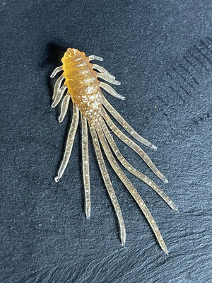 Fransen Fritz (Gold Glitzer)