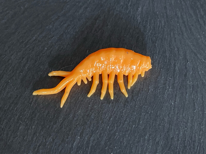 Suramag 4cm (Papaya)
