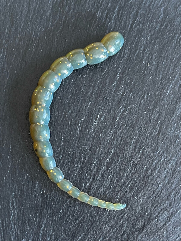 Cobra 7,5cm (Motoröl UV)