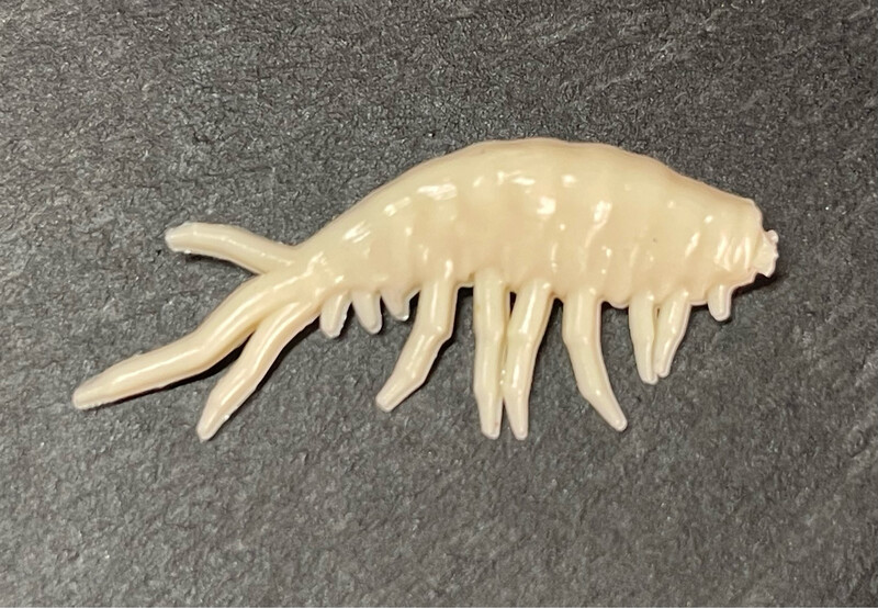 Suramag 4cm (Creme)
